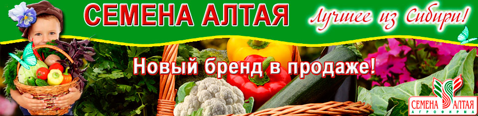 Купить семена Гавриш в Минске в Минске почтой по Беларуси в Семена почтой - ГАВРИШ ГК