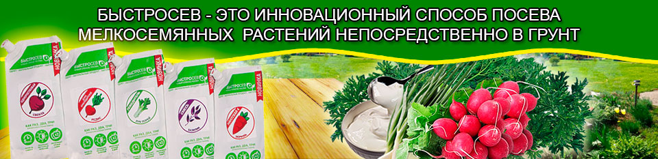 Семена дачник почтой Семена дачник почтой