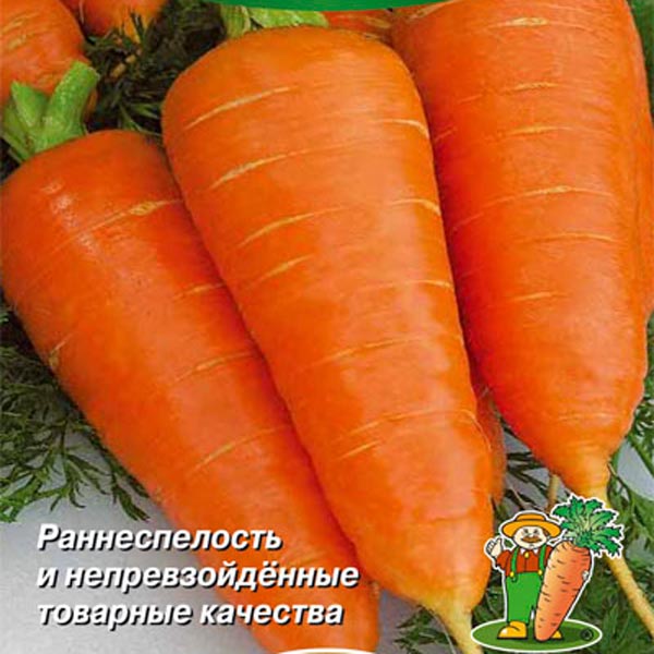 Морковь Абако F1, 0,5 г Лидеры мировой селекции