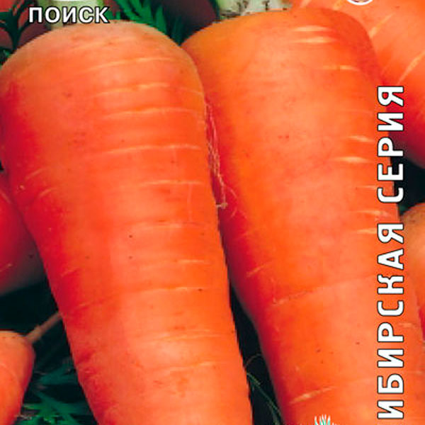 Морковь Шантенэ 2461, 2 г Сибирская серия
