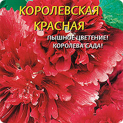 Шток-роза Королевская Красная, 0,1 г