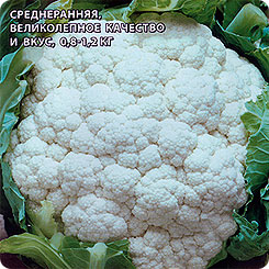 Капуста цветная Кердэс F1, 10 шт. (Seminis) Капуста цветная Кердэс F1, 10 шт. (Seminis)