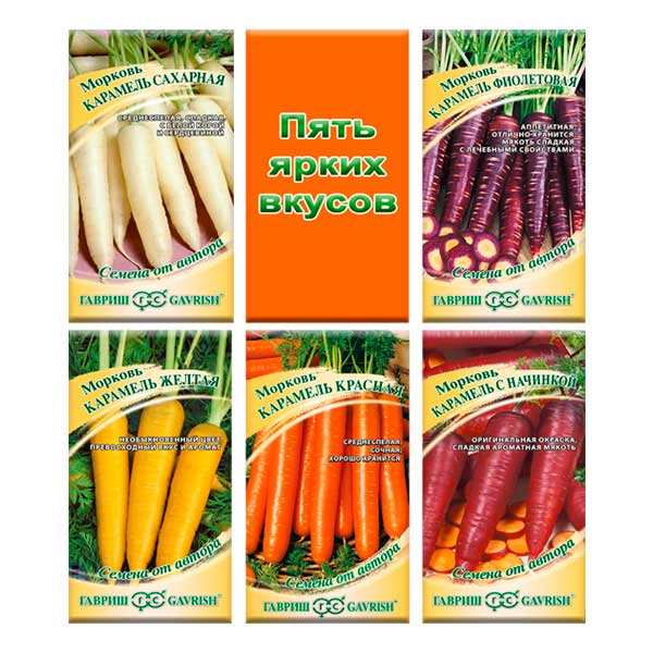 Набор семян Морковь Цветная карамель, 5 уп.