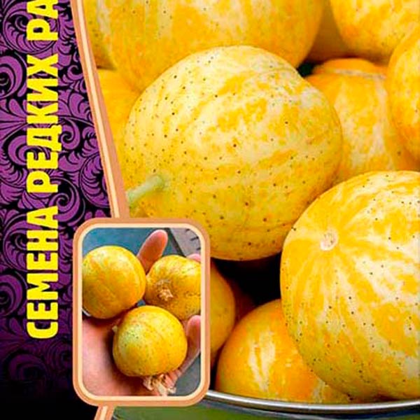 Огурец-Лимон Хрустальное Яблоко, 10 шт. Семена редких растений