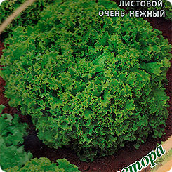 Салат Ералаш, 1 г Семена от автора Салат Ералаш, 1 г Семена от автора