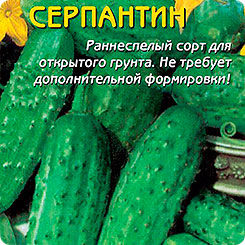 Огурец Серпантин, 12 шт. Огурец Серпантин, 12 шт.