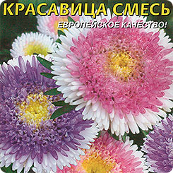Астра помпонная Красавица, Смесь, 0,2 г Астра помпонная Красавица, Смесь, 0,2 г