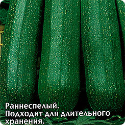Кабачок цуккини Карина, 2 г Кабачок цуккини Карина, 2 г