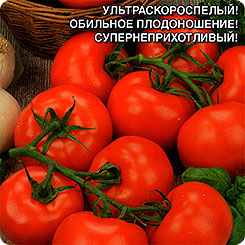 Томат Непасынкующийся Округлый, 0,1 г Томат Непасынкующийся Округлый, 0,1 г