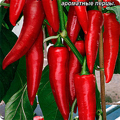 Перец сладкий Змейка, 0,2 г Перец сладкий Змейка, 0,2 г