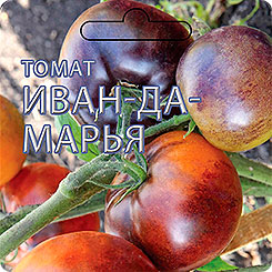 Томат Иван да Марья F1, 15 шт. Томаты-Фрукты Томат Иван да Марья F1, 15 шт. Томаты-Фрукты