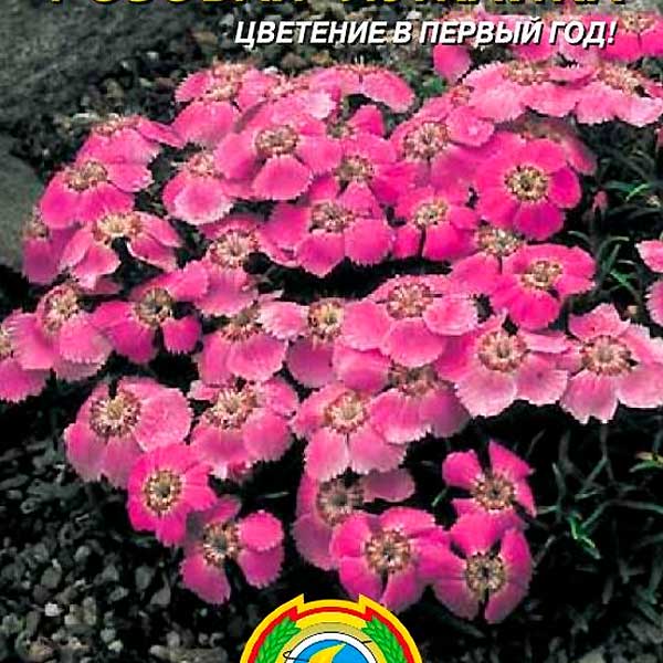 Гвоздика альпийская Розовая лужайка, 0,05 г