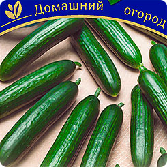 Огурцы Петикью F1, 3 шт. Домашний огород Огурцы Петикью F1, 3 шт. Домашний огород