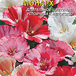 Годеция карликовая Монарх, Смесь, 0,1 г Годеция карликовая Монарх, Смесь, 0,1 г