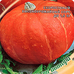 Тыква Плюшка, 2 г Семена от автора Тыква Плюшка, 2 г Семена от автора