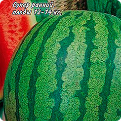 Арбуз Эврика F1, 5 шт. Seminis Арбуз Эврика F1, 5 шт. Seminis