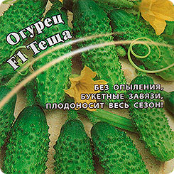 Огурец Теща F1, 100 шт. Профессиональная упаковка Огурец Теща F1, 100 шт. Профессиональная упаковка