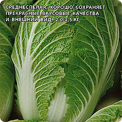 Капуста пекинская Юки F1, 20 шт. Sakata Капуста пекинская Юки F1, 20 шт. Sakata