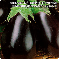 Баклажан Деликатес 163, 20 шт. Баклажан Деликатес 163, 20 шт.