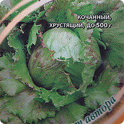Салат Ассоль, 0,5 г Семена от автора Салат Ассоль, 0,5 г Семена от автора
