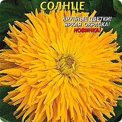Цинния супер кактус Солнце, 0,3 г Цинния супер кактус Солнце, 0,3 г