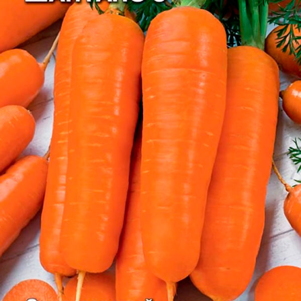 Морковь Шантанэ №5 ®, 2 г