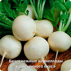 Редис Белый жемчуг, 3 г Восточный деликатес Редис Белый жемчуг, 3 г Восточный деликатес