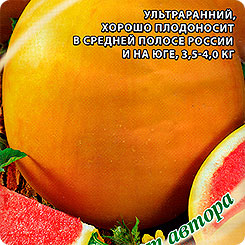 Арбуз Солнцедар, 1 г Семена от автора Арбуз Солнцедар, 1 г Семена от автора