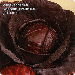 Капуста краснокочанная Варна F1, 15 шт. Sakata Капуста краснокочанная Варна F1, 15 шт. Sakata