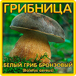 Грибница субстрат микоризный Белый гриб Бронзовый, 1 л Грибница субстрат микоризный Белый гриб Бронзовый, 1 л