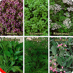 Кухонные пряности к Рыбе, 1 г Кухонные пряности к Рыбе, 1 г
