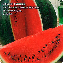 Арбуз Шуга Деликата F1, 5 шт. Sakata Арбуз Шуга Деликата F1, 5 шт. Sakata
