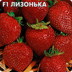 Земляника ремонтантная Лизонька F1, 15 шт. Земляника ремонтантная Лизонька F1, 15 шт.
