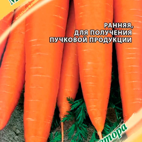 Морковь Мармелад Оранжевый, 2 г Семена от автора