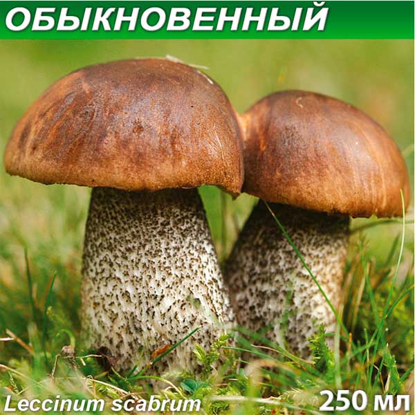 Грибница субстрат микоризный Подберезовик Обыкновенный, 250 мл