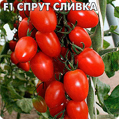 Томат Спрут Сливка F1 (Томатное или Помидорное дерево), 0,03 г Томат Спрут Сливка F1 (Томатное или Помидорное дерево), 0,03 г