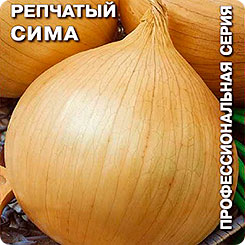 Лук репчатый Сима, 0,5 г Профессиональная серия Лук репчатый Сима, 0,5 г Профессиональная серия