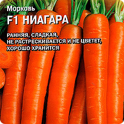 Морковь Ниагара F1, 150 шт. (Bejo Zaden) Морковь Ниагара F1, 150 шт. (Bejo Zaden)