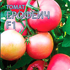 Томат Ерофеич Розовый F1, 15 шт. Томат Ерофеич Розовый F1, 15 шт.