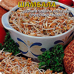 Пажитник (грибная трава) сенной Шамбала, 1 г Пажитник (грибная трава) сенной Шамбала, 1 г