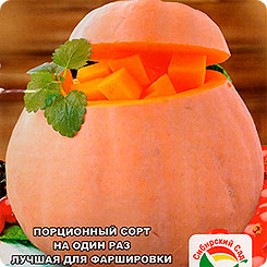 Тыква Сладкая каша, 5 шт. Тыква Сладкая каша, 5 шт.