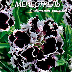 Гвоздика китайская Менестрель, 0,05 г Гвоздика китайская Менестрель, 0,05 г