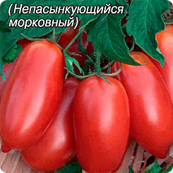 Томат Непасынкующийся Морковный, 0,1 г Томат Непасынкующийся Морковный, 0,1 г