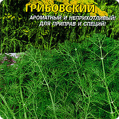 Укроп Грибовский, 2 г Укроп Грибовский, 2 г
