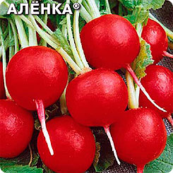 Редис Аленка®, 0,3 г Редис Аленка®, 0,3 г
