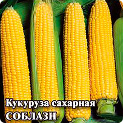 Кукуруза сахарная Соблазн, 50 г Кукуруза сахарная Соблазн, 50 г