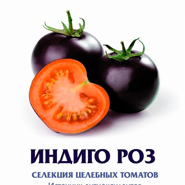 Томат Индиго Роз, 20 шт. Селекция целебных томатов