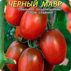 Томат Черный мавр, 25 шт. Томат Черный мавр, 25 шт.