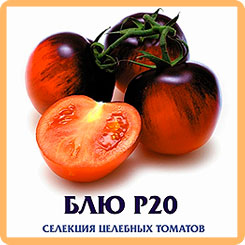 Томат Блю Р20, 20 шт. Селекция целебных томатов Томат Блю Р20, 20 шт. Селекция целебных томатов