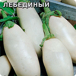 Баклажан Лебединый, 0,3 г Баклажан Лебединый, 0,3 г
